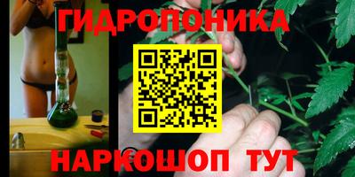 стафф Волжск